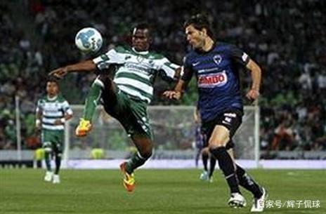 荷兰无缘欧 荷兰无缘欧